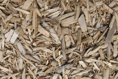 biomass boilers Tulloch